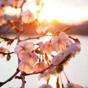 倉田 あいか ありがとう🌸 京都ホットポイント