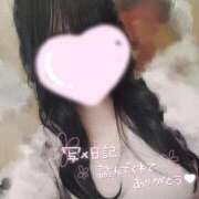 いちか 7日います ホテピン