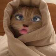 ヒメ日記 2025/06/27 01:32 投稿 しおん 恋のうた