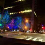 ヒメ日記 2025/09/17 09:22 投稿 しおん 恋のうた