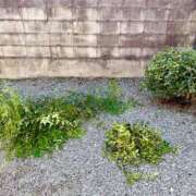 ヒメ日記 2025/10/17 11:28 投稿 しおん 恋のうた