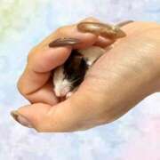 ヒメ日記 2025/10/17 20:05 投稿 しおん 恋のうた