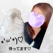 ヒメ日記 2025/11/02 15:31 投稿 しおん 恋のうた