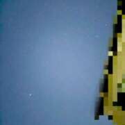 しおん 出陣予定← 恋のうた