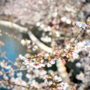 ヒメ日記 2026/04/07 16:16 投稿 ねね 密着手コキ&M性感 横浜エンジェルハンド