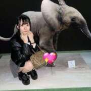 ヒメ日記 2025/11/25 20:14 投稿 福山にいな ブルーバード