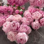 ヒメ日記 2025/06/26 21:52 投稿 恋雪 のあ テレジア東京