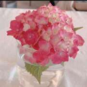 ヒメ日記 2025/07/08 23:25 投稿 ななみ 待ちナビ