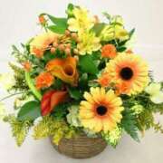 ヒメ日記 2025/07/10 08:15 投稿 ななみ 待ちナビ