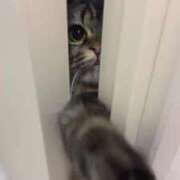 ヒメ日記 2025/07/13 08:26 投稿 ななみ 待ちナビ