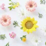 ヒメ日記 2026/01/14 12:20 投稿 ななみ 待ちナビ