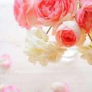 ヒメ日記 2026/01/19 03:45 投稿 ななみ 待ちナビ