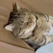 ヒメ日記 2026/02/13 19:15 投稿 ななみ 待ちナビ