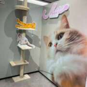 ヒメ日記 2026/02/22 15:24 投稿 ななみ 待ちナビ