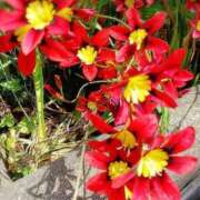 ヒメ日記 2026/04/14 09:22 投稿 ななみ 待ちナビ