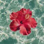 ヒメ日記 2025/10/21 19:39 投稿 おとは ぐっすり山田　大阪店