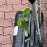 ヒメ日記 2025/11/06 06:19 投稿 おとは ぐっすり山田　大阪店