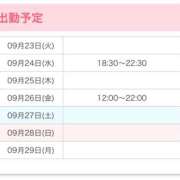 ヒメ日記 2025/09/23 23:15 投稿 ひまり 池袋添い寝女子