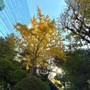 ヒメ日記 2025/11/29 16:27 投稿 ひまり 池袋添い寝女子