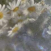 ヒメ日記 2025/12/21 11:40 投稿 ひまり 池袋添い寝女子