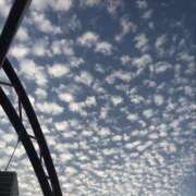 ヒメ日記 2026/01/15 22:04 投稿 ひまり 池袋添い寝女子