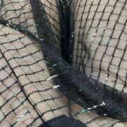 ヒメ日記 2025/07/18 18:36 投稿 初川(はつかわ) 八王子人妻城