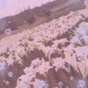 ヒメ日記 2025/07/31 23:51 投稿 しき【ロリカワ妹系】 Mode（モード）◆理想の彼女◆