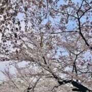 ヒメ日記 2026/04/01 11:23 投稿 リユ 川越スイートラバー