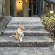 ヒメ日記 2026/05/16 13:13 投稿 リユ 川越スイートラバー