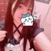 ヒメ日記 2026/01/31 19:33 投稿 える 性の極み技の伝道師ver.2.0