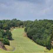 ヒメ日記 2025/09/20 10:04 投稿 もも 一宮稲沢小牧ちゃんこ