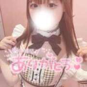 ヒメ日記 2026/05/15 15:25 投稿 しずく 舐めたくてグループ～君とサプライズ学園～越谷校
