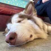 ヒメ日記 2025/09/29 12:26 投稿 つむぎ 性の極み技の伝道師ver.2.0