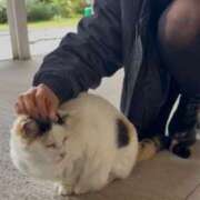 ヒメ日記 2025/10/22 18:06 投稿 つむぎ 性の極み技の伝道師ver.2.0