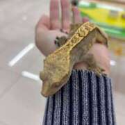 ヒメ日記 2025/11/26 15:52 投稿 つむぎ 性の極み技の伝道師ver.2.0