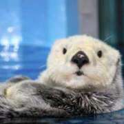 ヒメ日記 2025/07/03 01:49 投稿 ももか 梅田アバンチュール