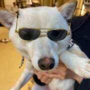 ヒメ日記 2025/10/02 13:11 投稿 なぎさ AFTER V（アフターファイブ）