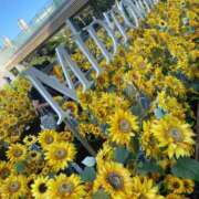 ヒメ日記 2025/12/14 00:52 投稿 なぎさ AFTER V（アフターファイブ）