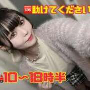 ヒメ日記 2025/10/15 09:03 投稿 こい 蒲田ウルトラギャラクシー