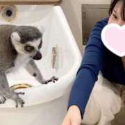 ヒメ日記 2025/08/29 18:34 投稿 白石あん HANABI(福富町)