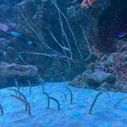 ヒメ日記 2025/09/17 14:22 投稿 白石あん HANABI(福富町)