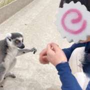 ヒメ日記 2025/11/12 14:25 投稿 白石あん HANABI(福富町)