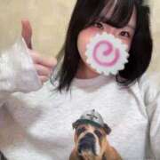 白石あん い、いぬ〜꒰ᐢɞ̴̶̷ ·̫ ɞ̴̶̷ᐢ꒱ HANABI(福富町)