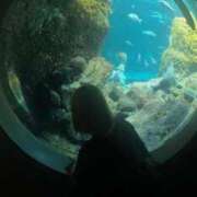 ヒメ日記 2025/08/19 07:45 投稿 みに　【RAINBOW】 Sabbat(サバト)