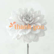 ヒメ日記 2025/07/05 12:33 投稿 りの 熟女の風俗最終章 本厚木店