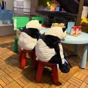 ヒメ日記 2025/07/30 15:24 投稿 りの 熟女の風俗最終章 本厚木店