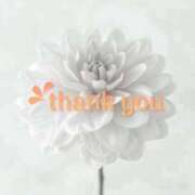 ヒメ日記 2025/08/23 17:06 投稿 りの 熟女の風俗最終章 本厚木店