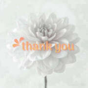 ヒメ日記 2025/10/03 13:35 投稿 りの 熟女の風俗最終章 本厚木店