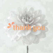 ヒメ日記 2025/10/09 20:10 投稿 りの 熟女の風俗最終章 本厚木店