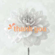 ヒメ日記 2025/10/31 21:41 投稿 りの 熟女の風俗最終章 本厚木店